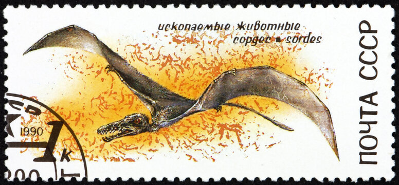 Postage stamp Russia 1990 Sordes, Pterosaur, Prehistoric Animal