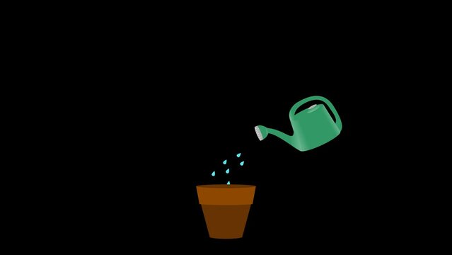 Animated of planting gold coins then watering them with water and grow dollar money. Financial or investment growth concept. video footage animation an alpha background.