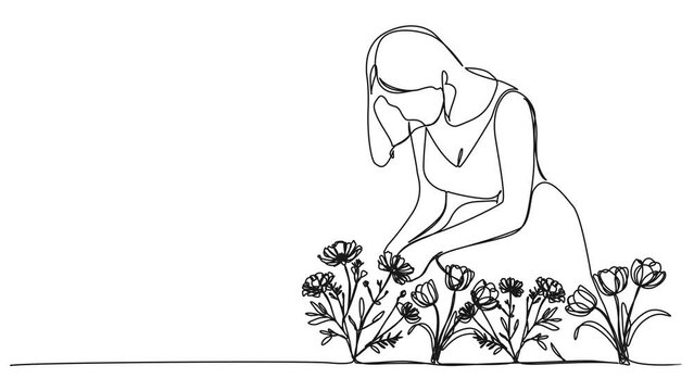 animated continuous single line drawing of woman picking flowers, line art animation