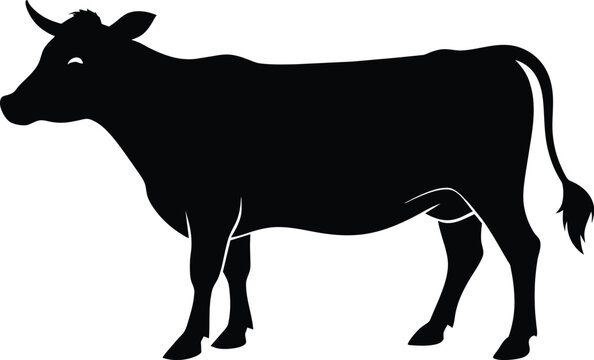 Cow black silhouettes on white background