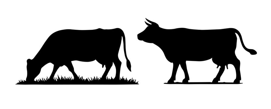 Dairy farm cow vector silhouette icon. Beef cattle cow animal farmer isolated illustration.