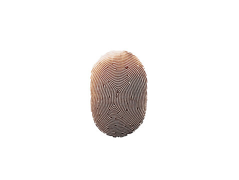 a fingerprint on a white background