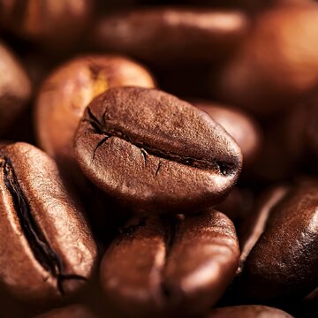 coffee beans close up