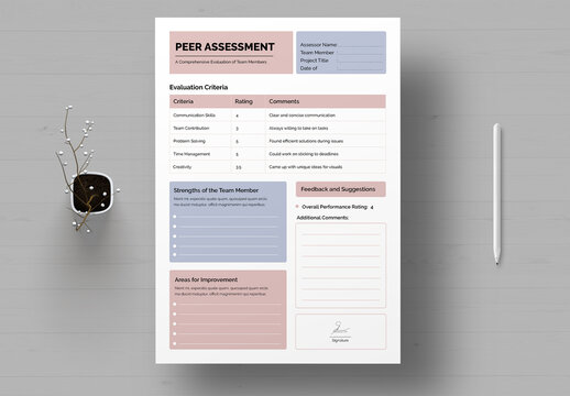 Peer Assessment Template