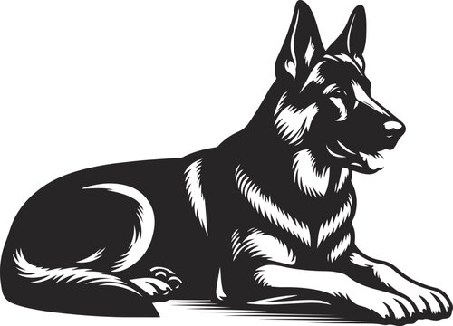 German shepherd dog in different poses on a white background objects silhouette illustration.