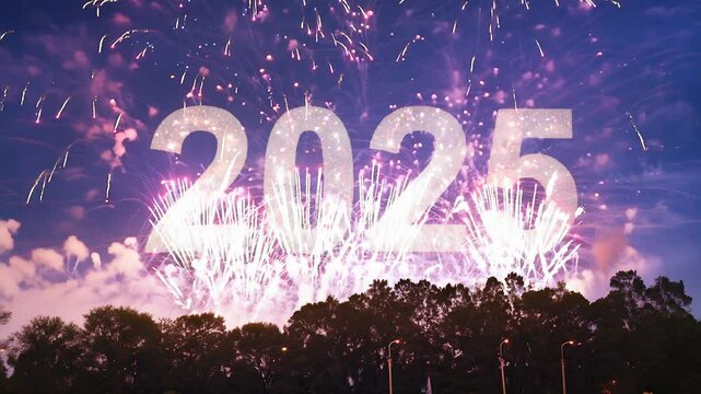 Spectacular Fireworks Show with 2025 Celebratory Overlay