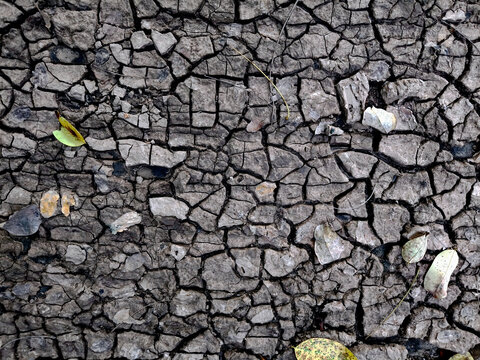 Cracked ground after flood, cracked soil background