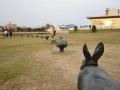 島根県立美術館（4travel）