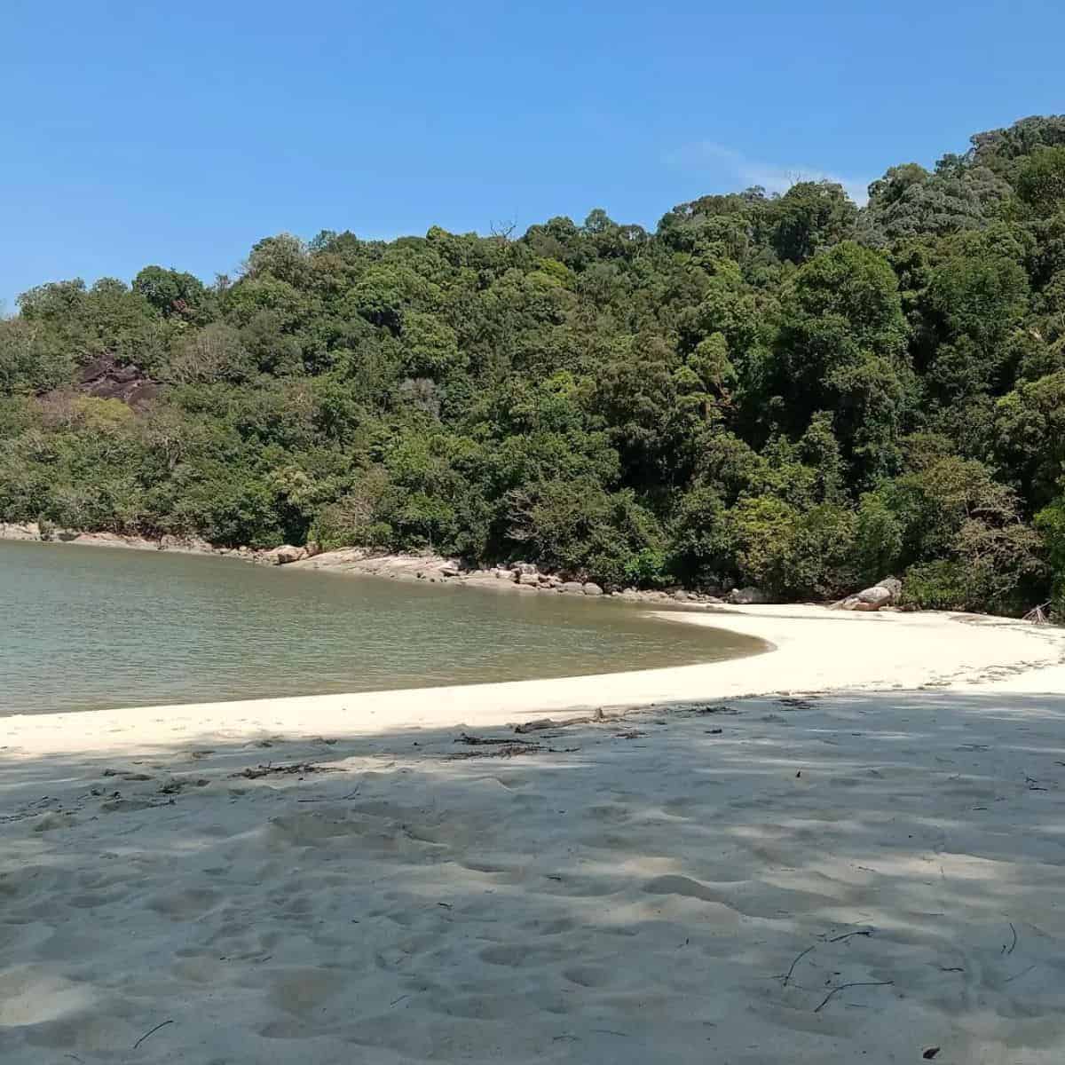 Teluk Kampi sands and forest inside National Park Penang