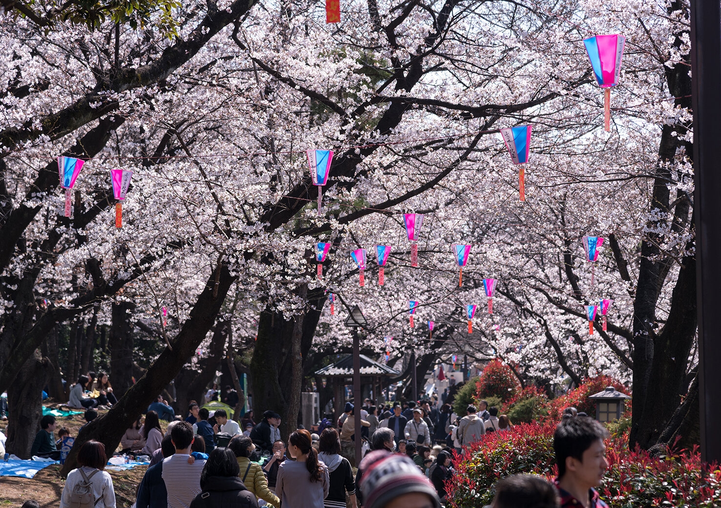 Asukayama Park.jpg