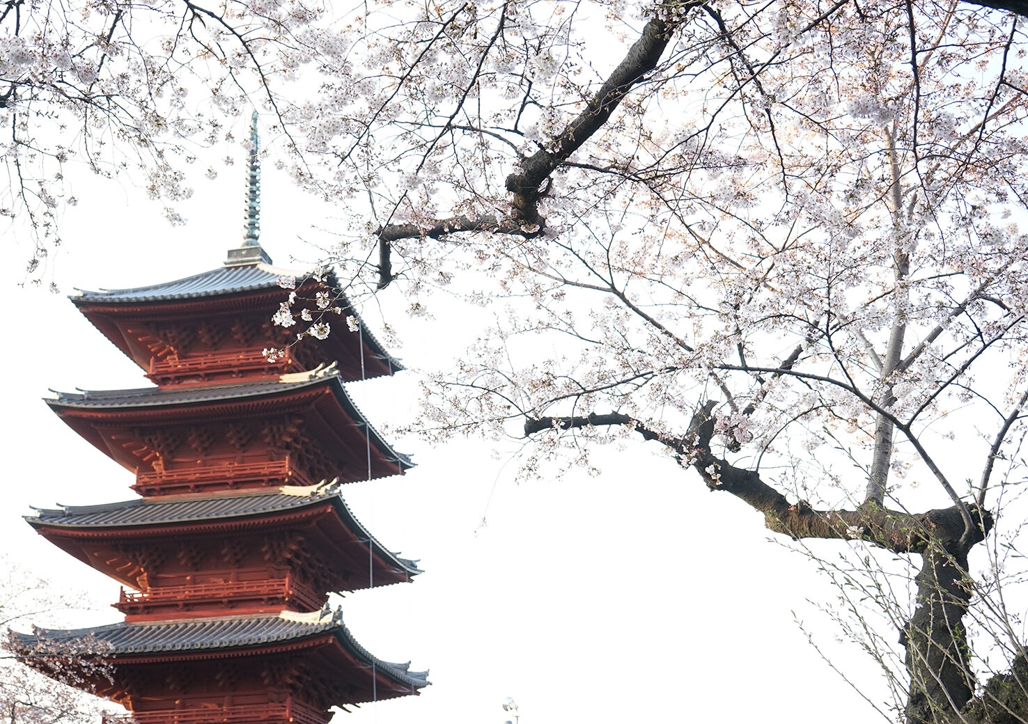 Ikegami-Honmonji Temple.jpg