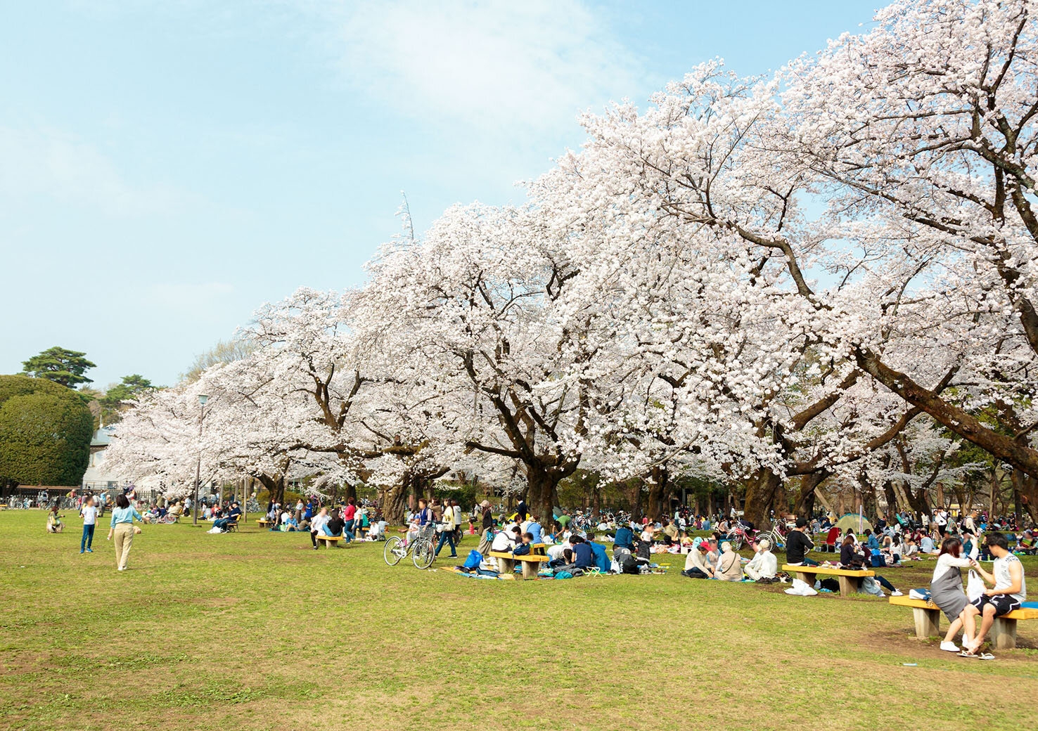 Koganei Park (Tatemono-en).jpg