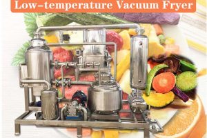 Low-Temperature Vacuum Fryer