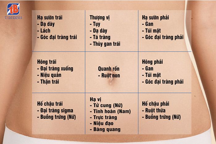 Vị trí đau bụng: Phát hiện bệnh từ cơn đau ở bụng