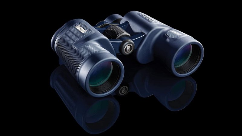 Best 10x42 Binoculars