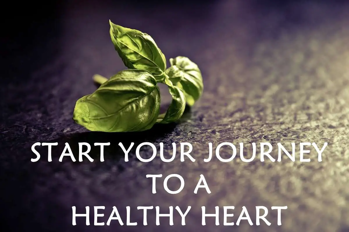 Title image for how to start your healthy heart journey.