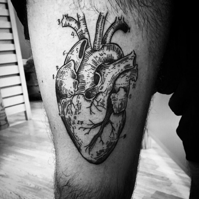 anatomical heart tattoos