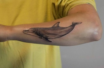 65+ Incredible Dolphin Tattoo Designs & Meaning – 2019 Ideas