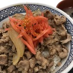 Yoshinoya Rinkaigan Wada Ten - 