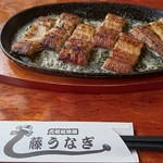 Fuji Unagi - 