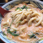 Marugame Seimen Nagahama Ten - うま辛坦々うどん