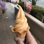 水府物産センターレストラン　森の風 - メロンソフトクリーム