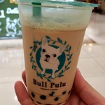 BULL PULU Ario Kawaguchi Ten - 