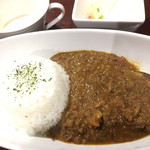 Shinsaibashi Salute - スパイシーカレー 800円