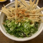 日向うどん財光寺 - 料理写真:ゴボ天そばの大盛