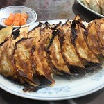 Kasago Hamamatsu Gyoza - 