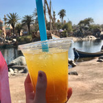 Squeezers Tropical Juice Bar - 