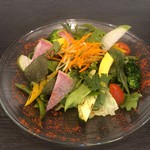 Green salad and seasonal colorful vegetables