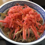 Yoshinoya Nishinomiya Kitainter Ten - 