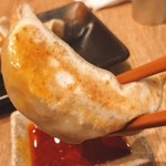 Nikujiru Gyoza no Dandadan Befu Ten - もちもちな皮♪