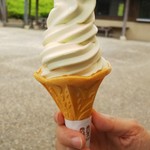 さるびの温泉 椚屋 - わさびソフトクリーム、ミックス
かすかな色の違い、分かってもらえるでしょうか