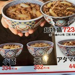 Yoshinoya Miyazaki Gion Ten - 