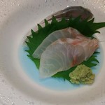 Sushi Maezawa - 