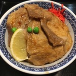 Otakou - 肉丼