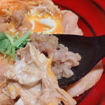 Torigen Jinbocho Ten - 親子丼のご飯を玄米にしてみた