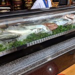 Sushi Hide - 