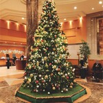 ANA Crown Plaza Hotel Toyama - ホテル入り口のクリスマスツリー