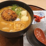 Tsuru An - 豊橋カレーうどん 真ん中の茶色いのは玉ねぎの天ぷらです