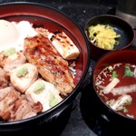 Torimikura Daibashti Tokyo Puraza Ten - そぼろ丼