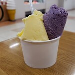 Misono Ice Cream Ion Otaru Ten - カップのダブルです。