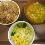 Sukiya Tama Kotta Ten - 牛丼ミニつゆぬき・サラダセット、カレーとん汁