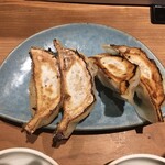 Gyoza to Nikomi Sakana-ya Sushi Shin - 