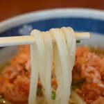 UDON DEALER - 