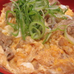 Hanamaru Udon Tokushima Ko Cho Ten - ふわとろどん