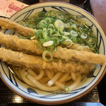 Marugame Seimen Moriguchi Dainichi Ten - ごぼう天うどん並　490円