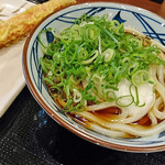 Marugame Seimen Ionmoru Kobekita Ten - 